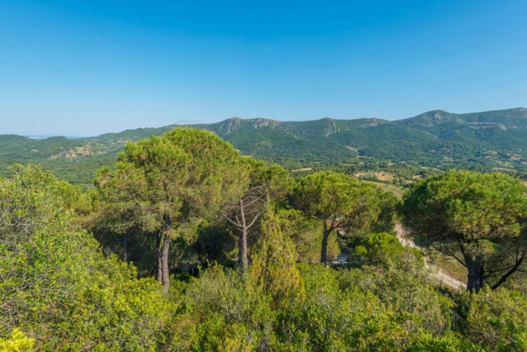 Moradia T8 para Venda em Azeitão (São Lourenço e São Simão) Foto 26