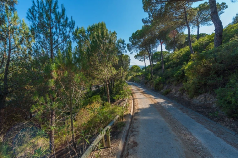 Moradia T8 para Venda em Azeitão (São Lourenço e São Simão) Foto 27