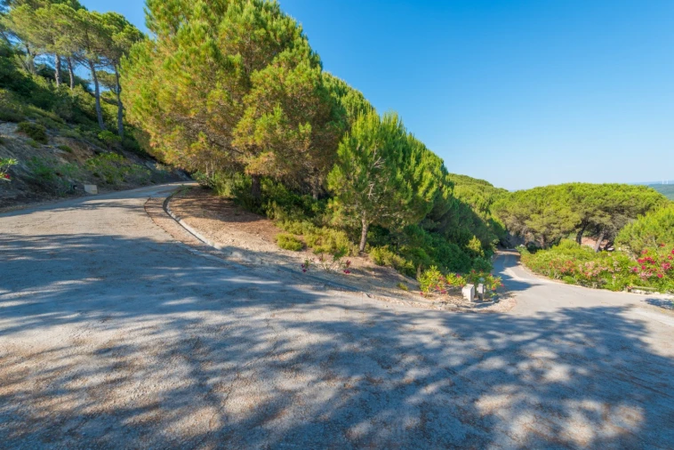 Moradia T8 para Venda em Azeitão (São Lourenço e São Simão) Foto 28