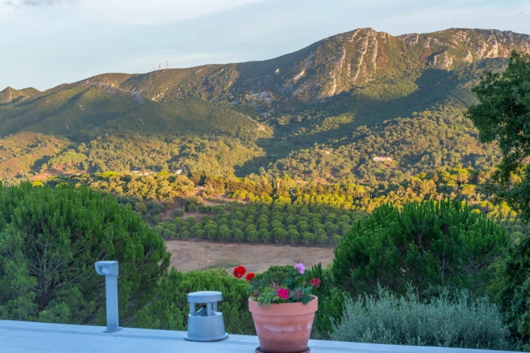 Moradia T8 para Venda em Azeitão (São Lourenço e São Simão) Foto 32