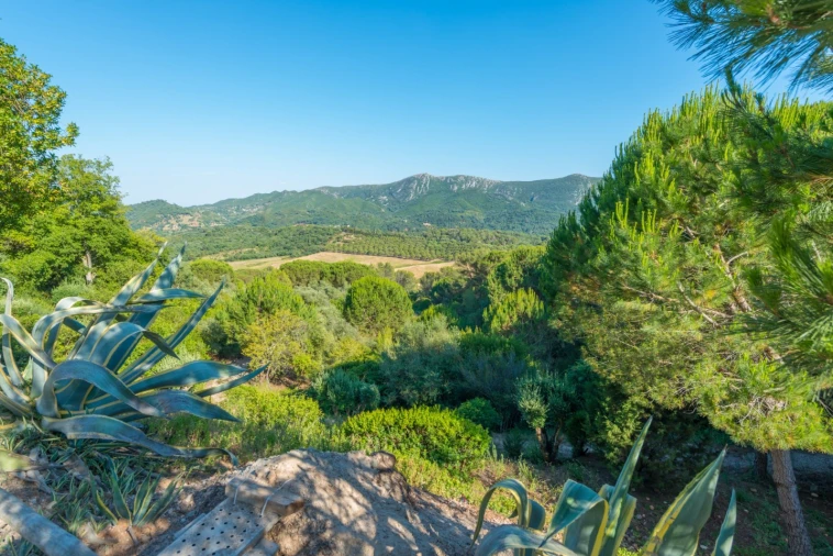 Moradia T8 para Venda em Azeitão (São Lourenço e São Simão) Foto 33