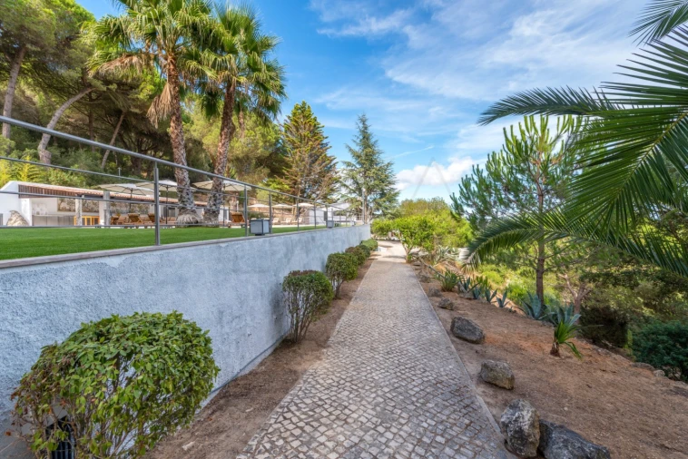 Moradia T8 para Venda em Azeitão (São Lourenço e São Simão) Foto 66