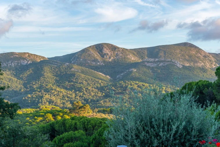 Moradia T8 para Venda em Azeitão (São Lourenço e São Simão) Foto 79