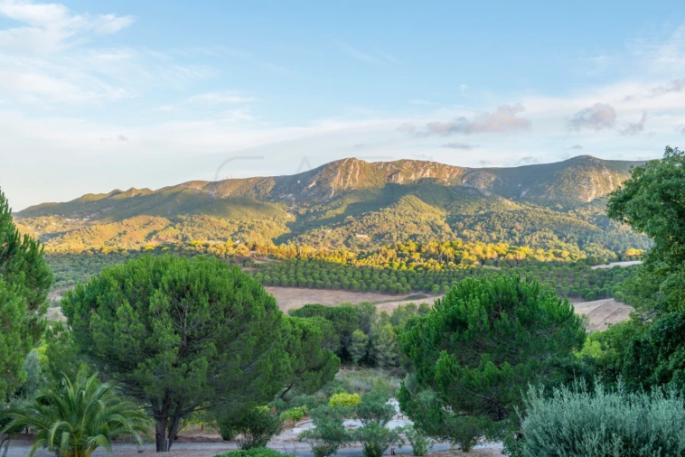 Moradia T8 para Venda em Azeitão (São Lourenço e São Simão) Foto 81