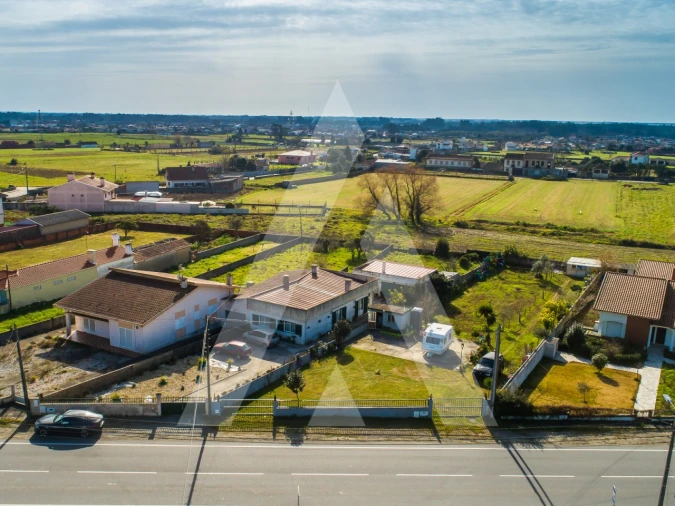 Terreno para Venda em Valega Foto 4