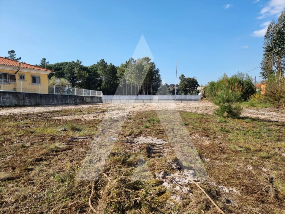 Terreno para Venda em Ovar, São João, Arada e São Vicente de Pereira Jusã Foto 16