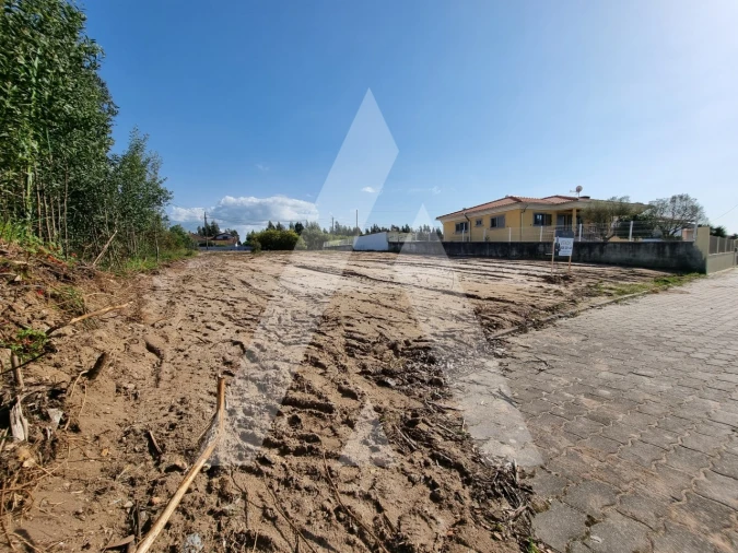 Terreno para Venda em Ovar, São João, Arada e São Vicente de Pereira Jusã Foto 11