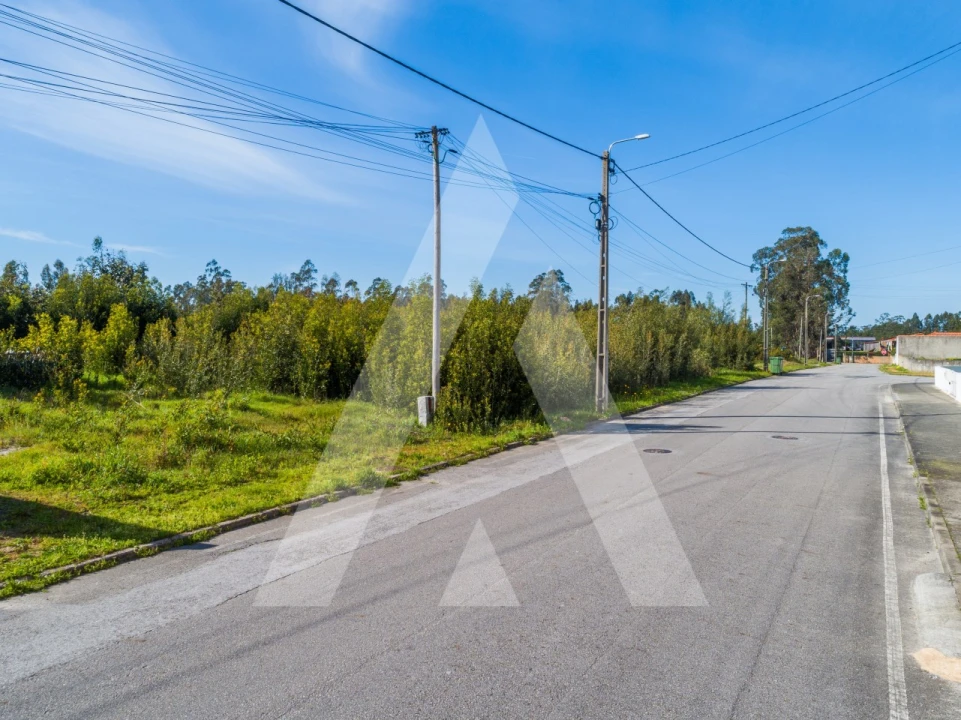 Terreno para Venda em Valega Foto 18