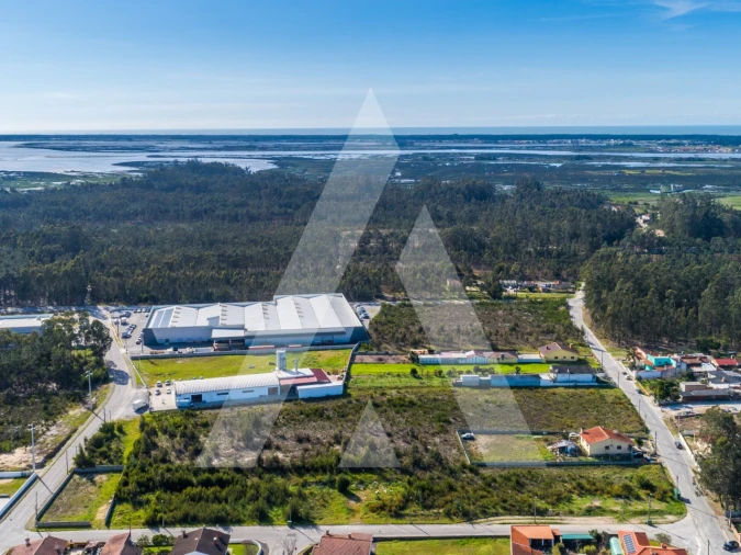 Terreno para Venda em Valega Foto 7