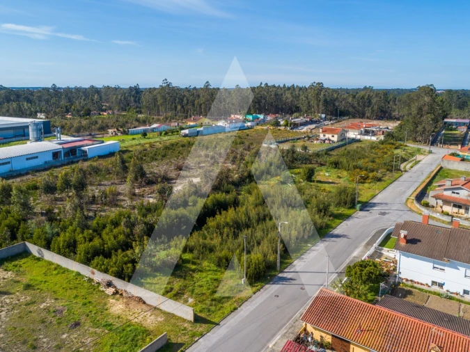 Terreno para Venda em Valega Foto 15