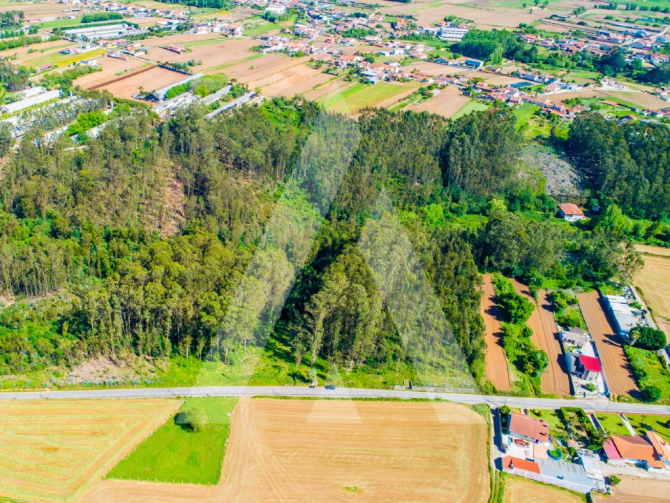 Terreno para Venda em Ovar, São João, Arada e São Vicente de Pereira Jusã Foto 9