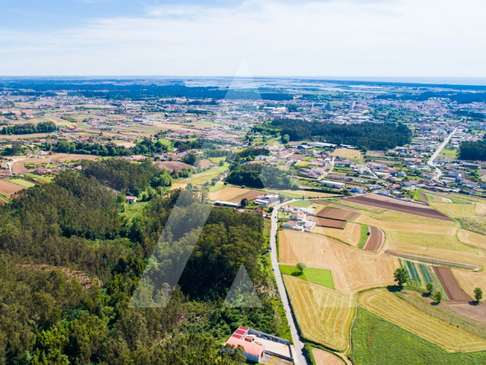 Terreno para Venda em Ovar, São João, Arada e São Vicente de Pereira Jusã Foto 12