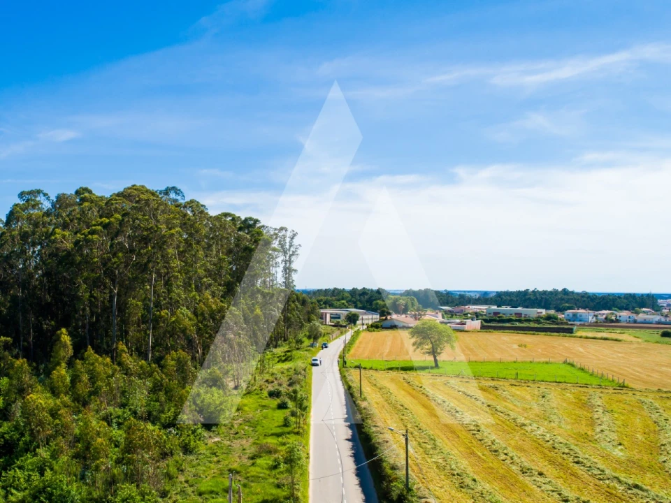 Terreno para Venda em Ovar, São João, Arada e São Vicente de Pereira Jusã Foto 13