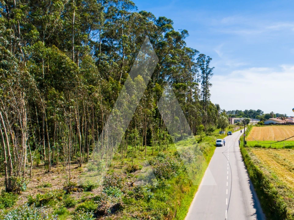 Terreno para Venda em Ovar, São João, Arada e São Vicente de Pereira Jusã Foto 16