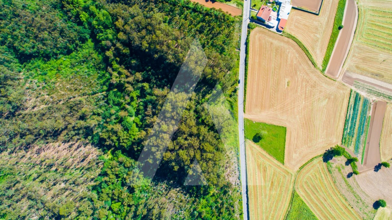 Terreno para Venda em Ovar, São João, Arada e São Vicente de Pereira Jusã Foto 17