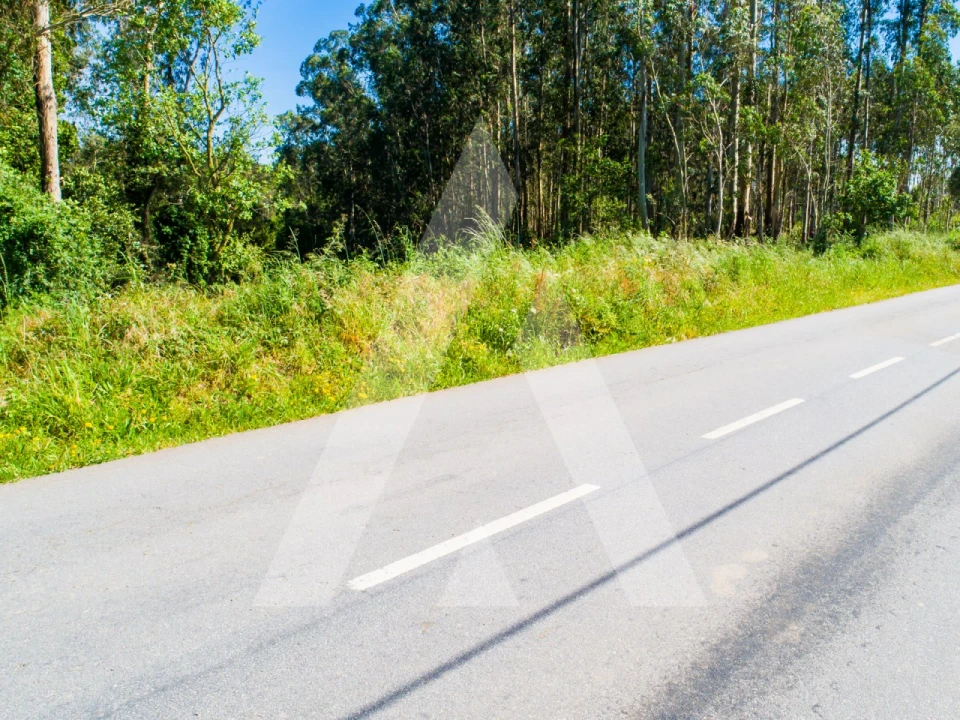Terreno para Venda em Ovar, São João, Arada e São Vicente de Pereira Jusã Foto 20
