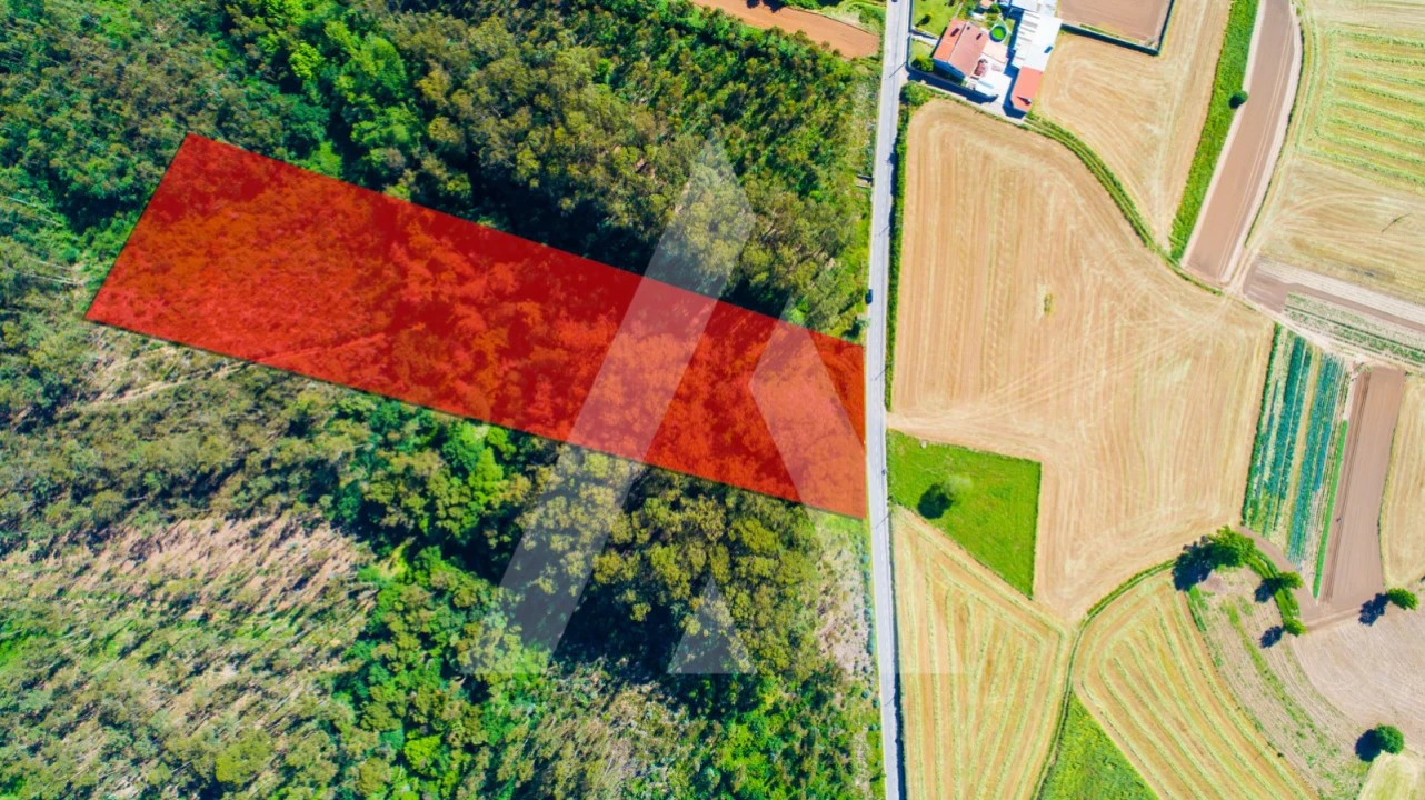 Terreno para Venda em Ovar, São João, Arada e São Vicente de Pereira Jusã Foto 1