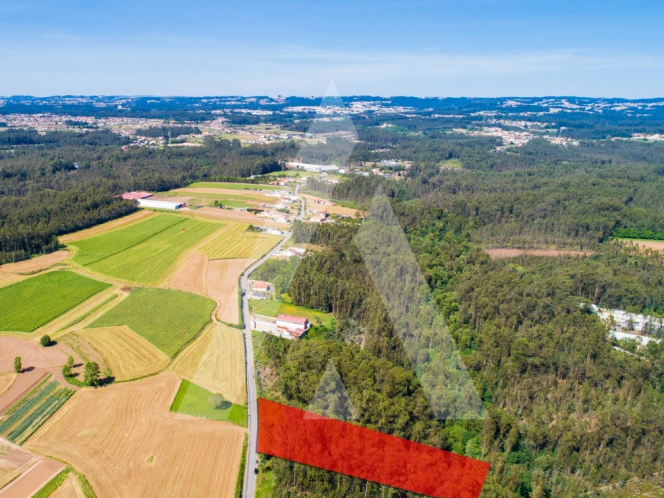 Terreno para Venda em Ovar, São João, Arada e São Vicente de Pereira Jusã Foto 4