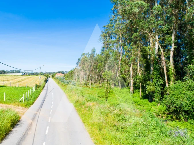 Terreno para Venda em Ovar, São João, Arada e São Vicente de Pereira Jusã Foto 7