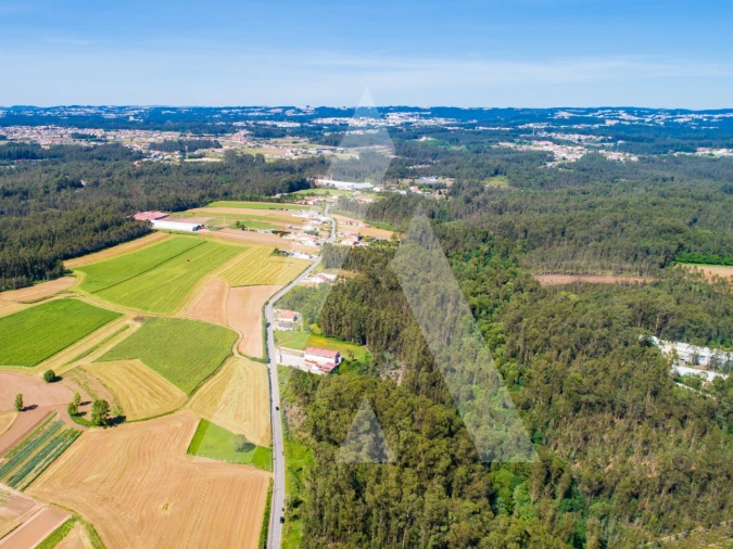 Terreno para Venda em Ovar, São João, Arada e São Vicente de Pereira Jusã Foto 6