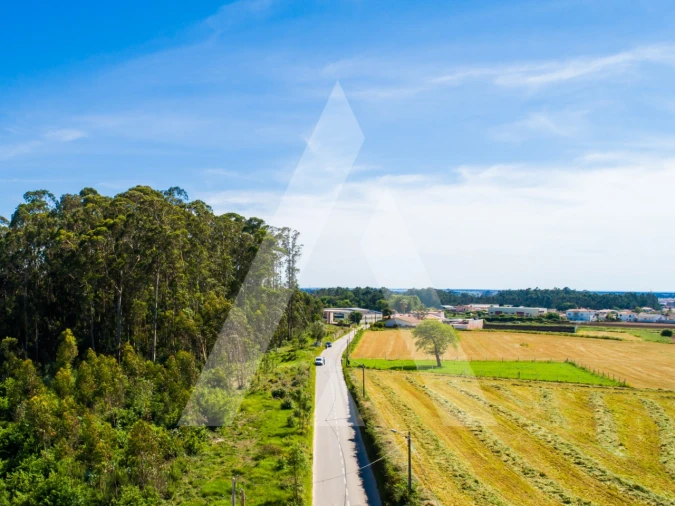 Terreno para Venda em Ovar, São João, Arada e São Vicente de Pereira Jusã Foto 2