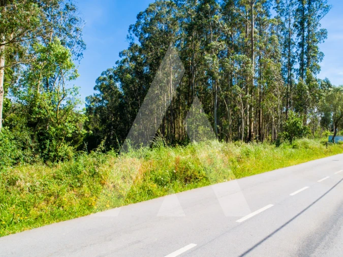 Terreno para Venda em Ovar, São João, Arada e São Vicente de Pereira Jusã Foto 3