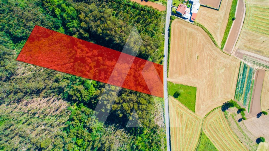 Terreno para Venda em Ovar, São João, Arada e São Vicente de Pereira Jusã