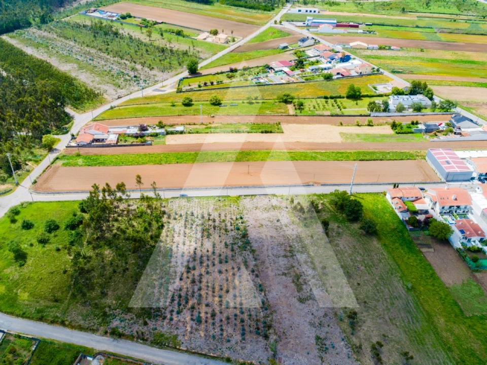 Terreno para Venda em Ovar, São João, Arada e São Vicente de Pereira Jusã Foto 16