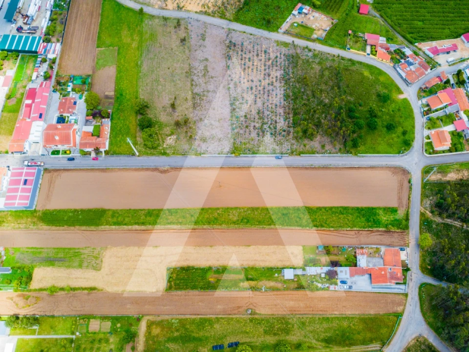 Terreno para Venda em Ovar, São João, Arada e São Vicente de Pereira Jusã Foto 21