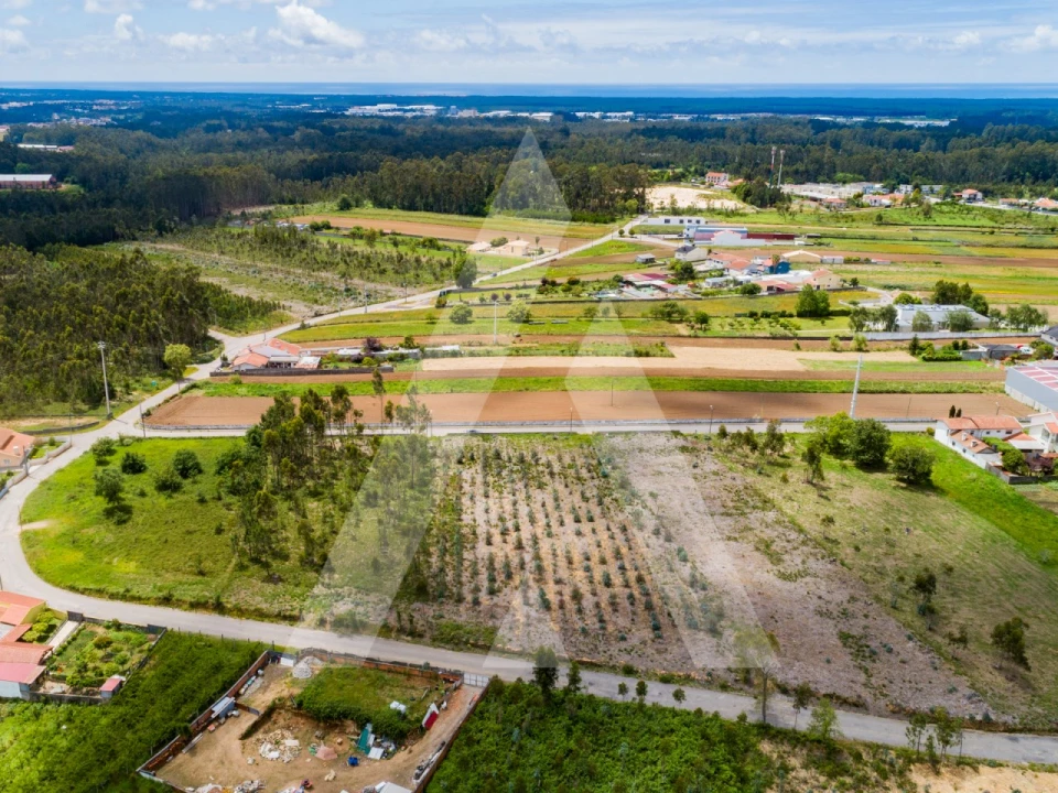 Terreno para Venda em Ovar, São João, Arada e São Vicente de Pereira Jusã Foto 23