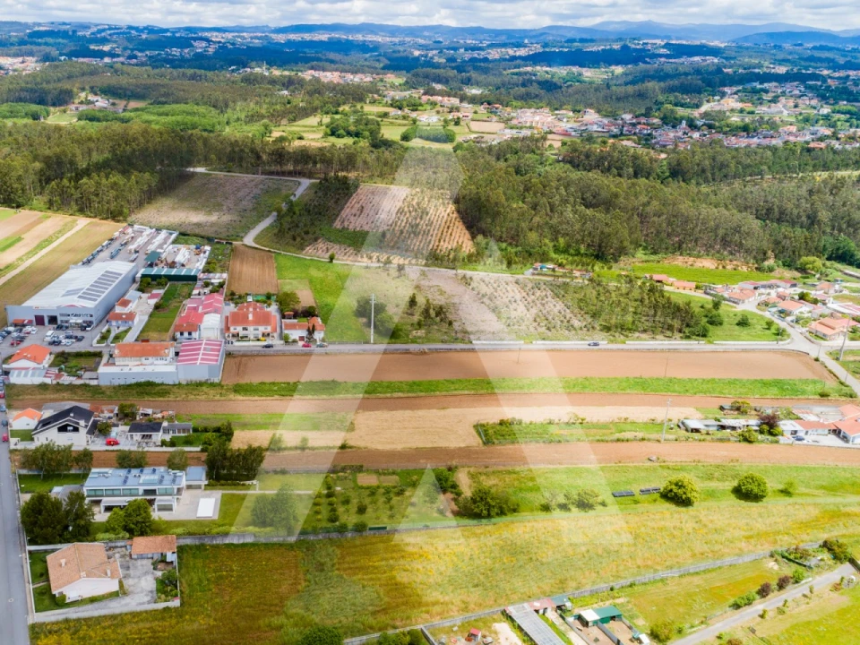 Terreno para Venda em Ovar, São João, Arada e São Vicente de Pereira Jusã Foto 26