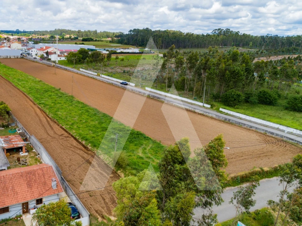 Terreno para Venda em Ovar, São João, Arada e São Vicente de Pereira Jusã Foto 7