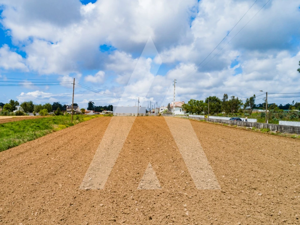 Terreno para Venda em Ovar, São João, Arada e São Vicente de Pereira Jusã Foto 5