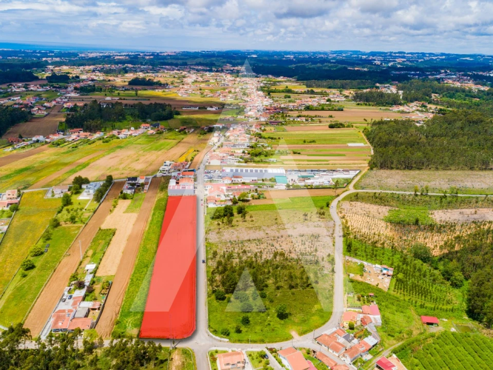 Terreno para Venda em Ovar, São João, Arada e São Vicente de Pereira Jusã Foto 9
