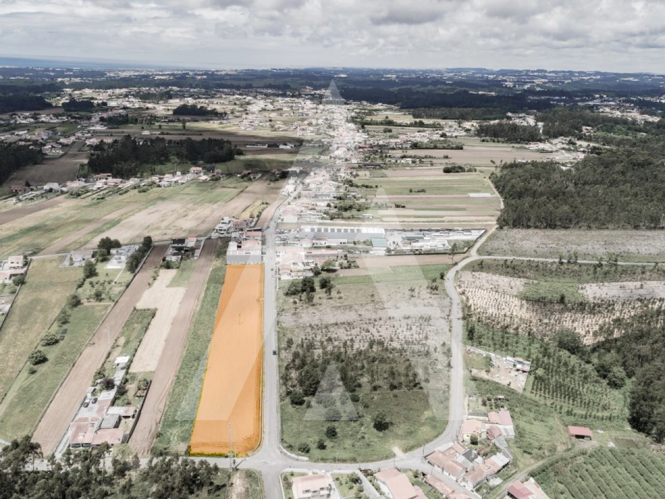 Terreno para Venda em Ovar, São João, Arada e São Vicente de Pereira Jusã Foto 13