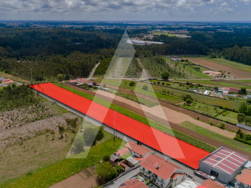 Terreno para Venda em Ovar, São João, Arada e São Vicente de Pereira Jusã Foto 10