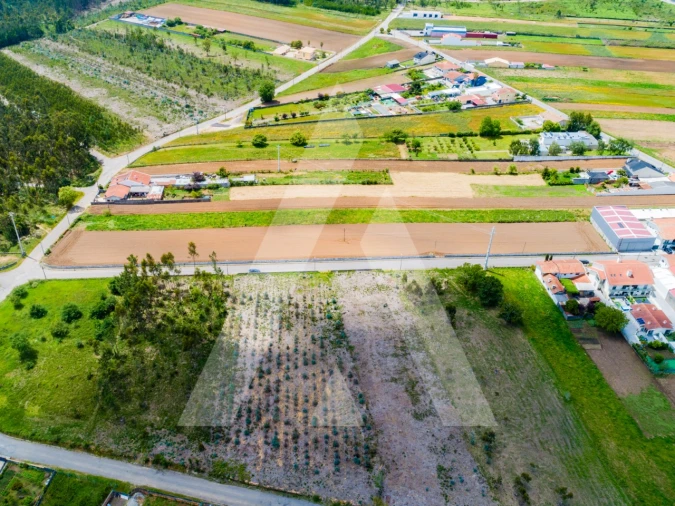 Terreno para Venda em Ovar, São João, Arada e São Vicente de Pereira Jusã Foto 16