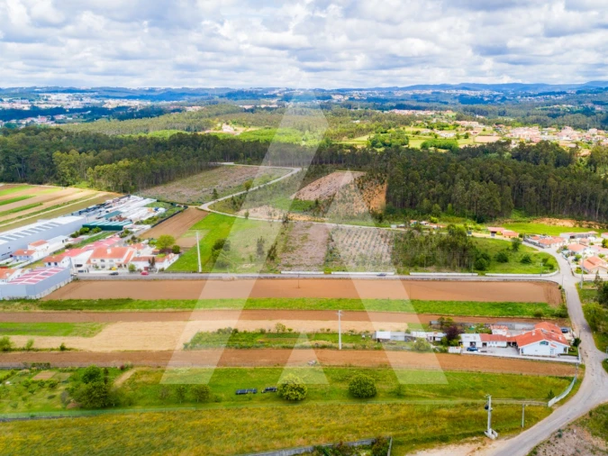 Terreno para Venda em Ovar, São João, Arada e São Vicente de Pereira Jusã Foto 19