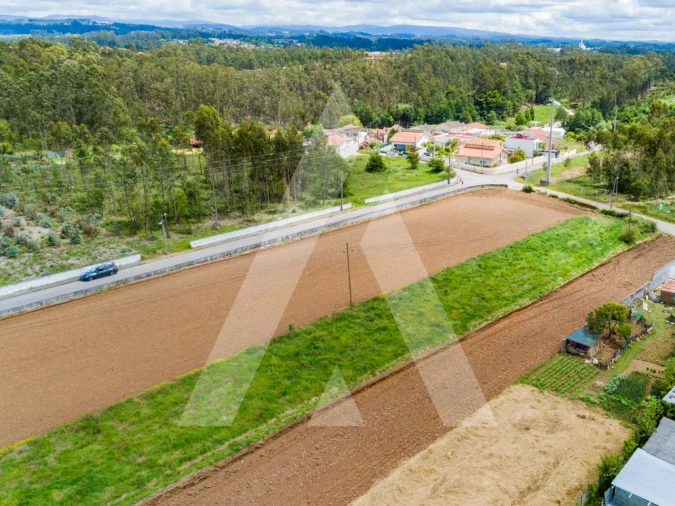 Terreno para Venda em Ovar, São João, Arada e São Vicente de Pereira Jusã Foto 8