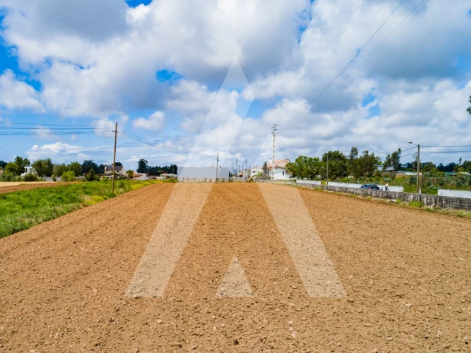Terreno para Venda em Ovar, São João, Arada e São Vicente de Pereira Jusã Foto 5