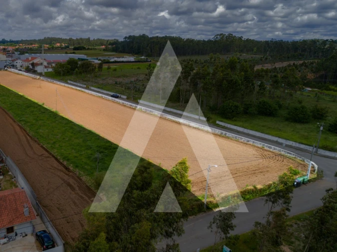 Terreno para Venda em Ovar, São João, Arada e São Vicente de Pereira Jusã Foto 12