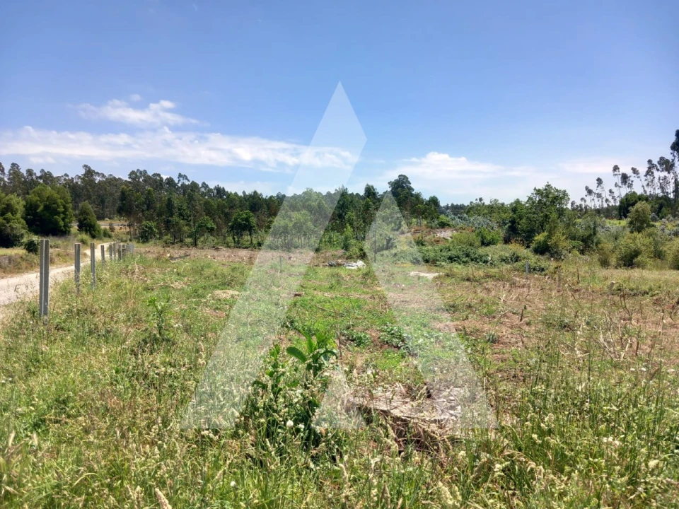 Terreno para Venda em Avanca Foto 1