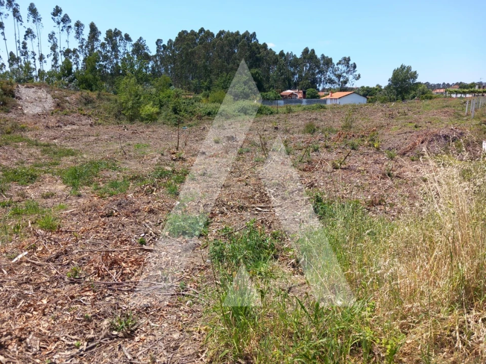 Terreno para Venda em Avanca Foto 4