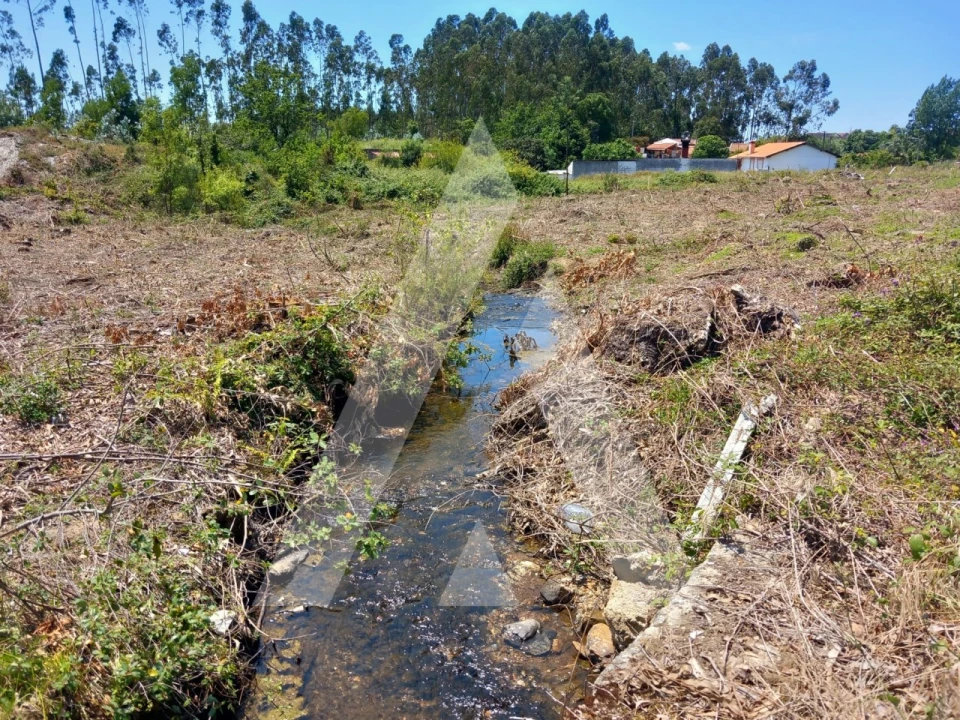 Terreno para Venda em Avanca Foto 5