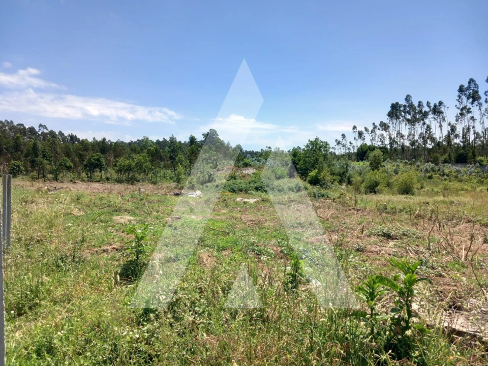 Terreno para Venda em Avanca Foto 7