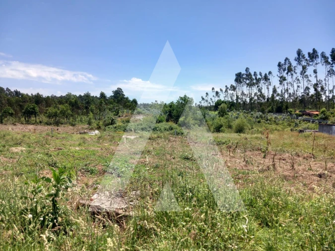 Terreno para Venda em Avanca Foto 2