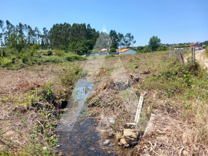 Terreno para Venda em Avanca Foto 8