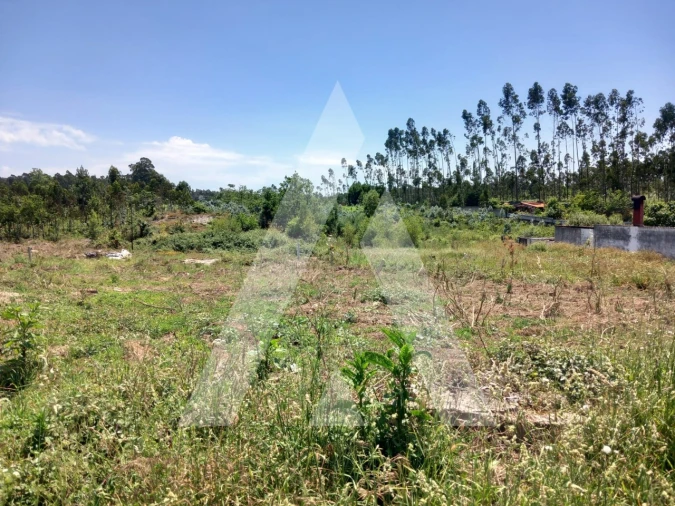 Terreno para Venda em Avanca Foto 10