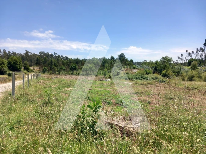 Terreno para Venda em Avanca Foto 11