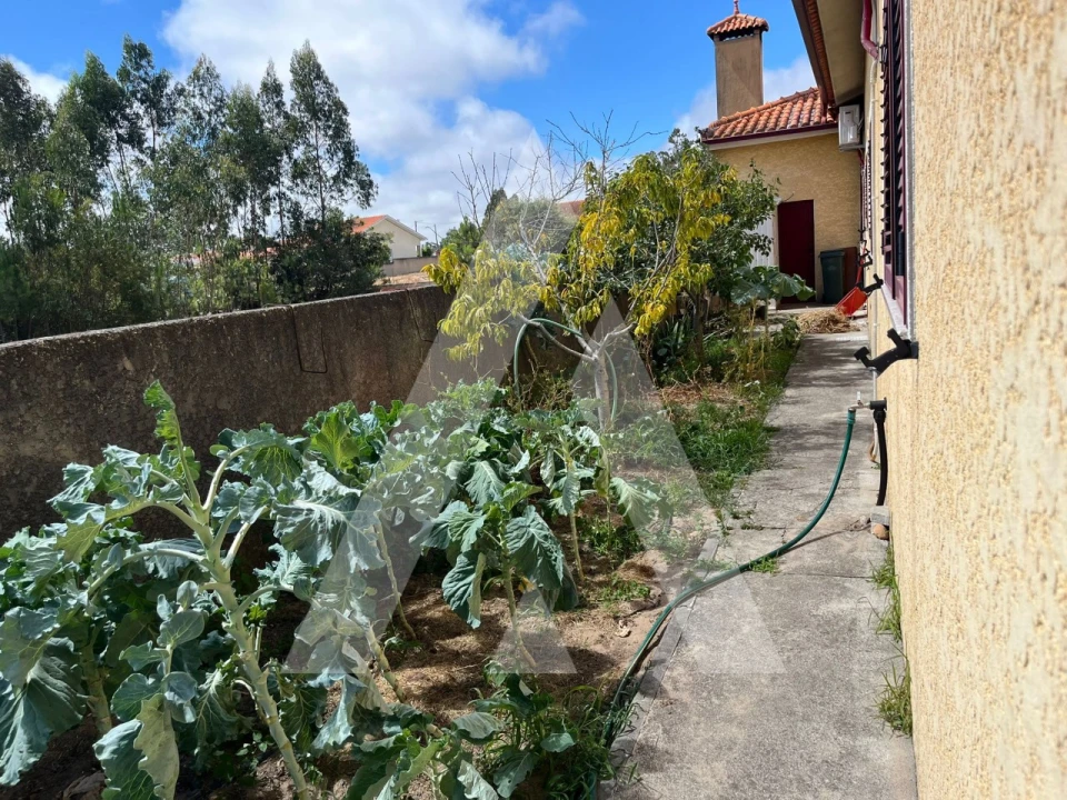 Moradia T3 para Venda em Santo Andre de Vagos Foto 65